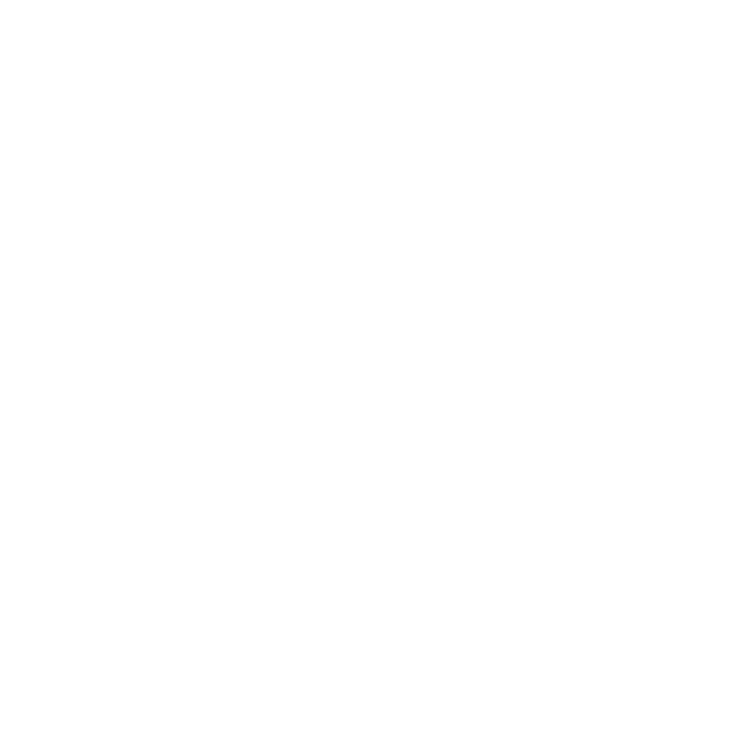 Security Icon
